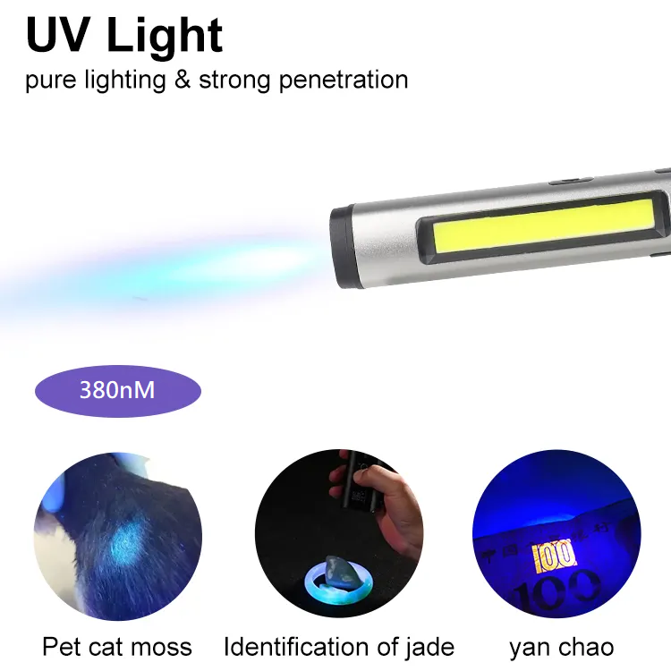 UV light and working light pen type with magnet